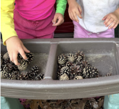 Nature school activity